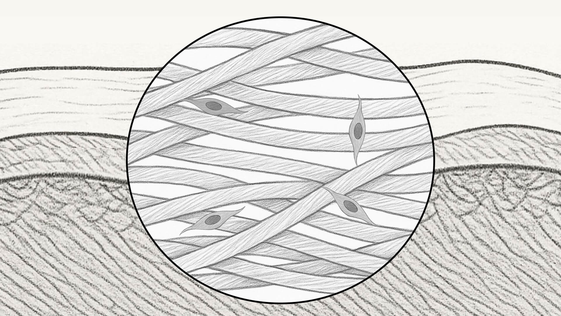 Agnes storyboard frame 10