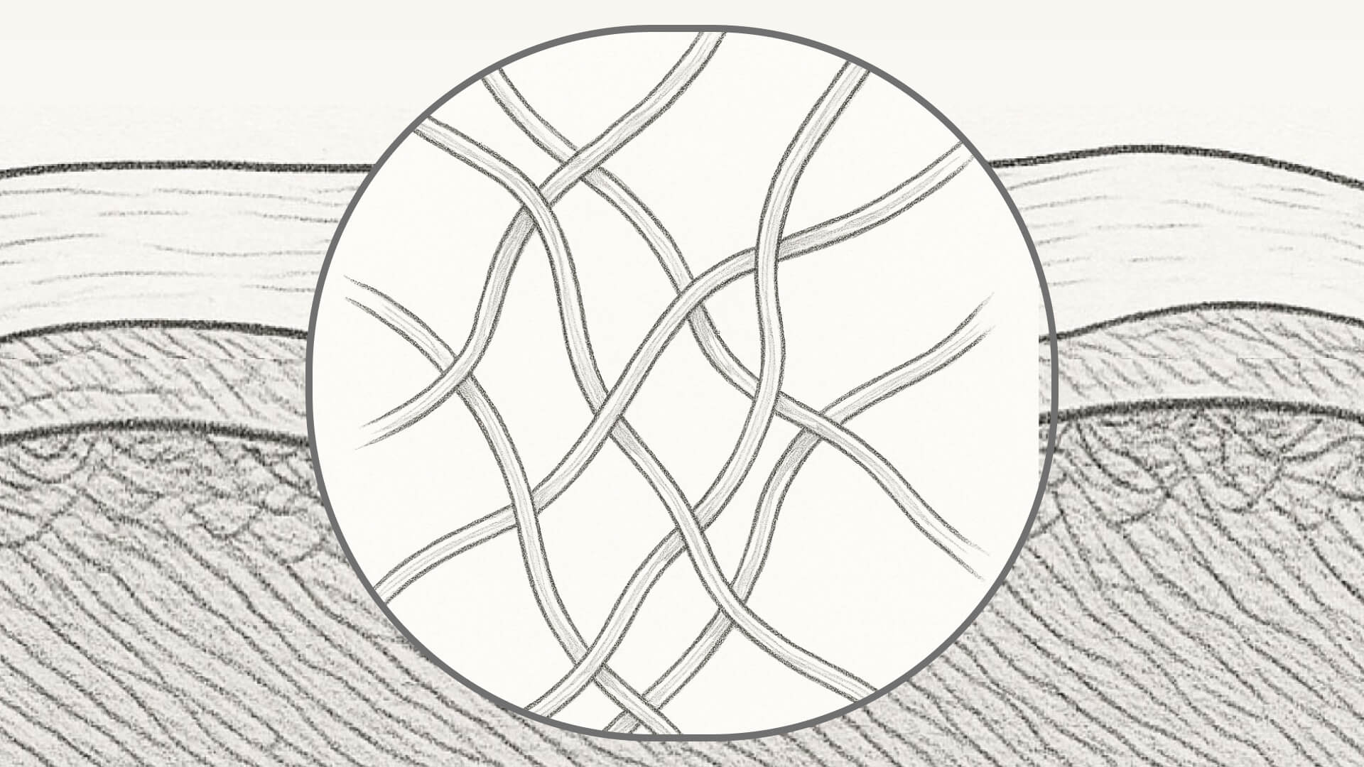 Agnes storyboard frame 11